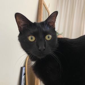 Meet your Posher, Brian